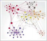 گرایش سامانه‌های شبکه‌ای