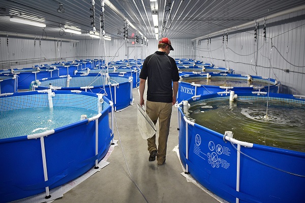 Aquaculture